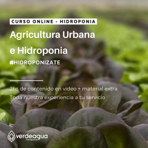 Curso Online de Hidroponia...