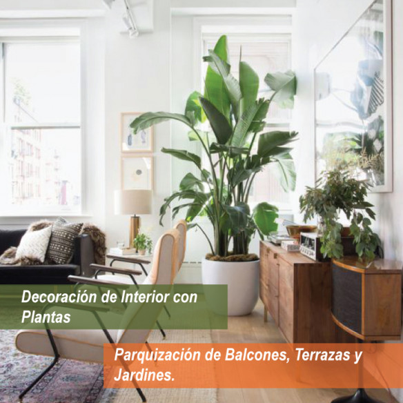 Verde y Orgánico Vivero