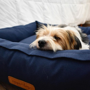 Upper Dog