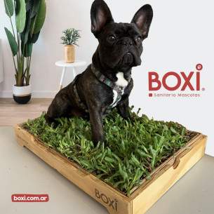 BOXI®
