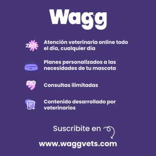Wagg | Atención veterinaria... 2
