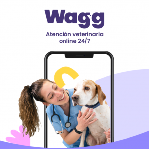 Wagg | Atención veterinaria...